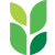 Saffire leadership