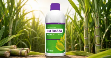 Herbicide