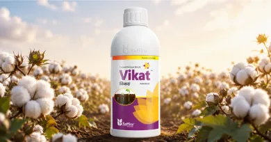 Insecticide