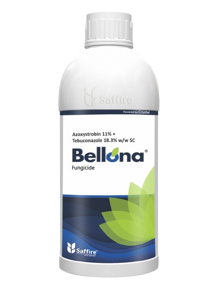 Bellona