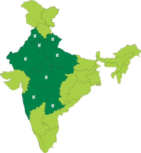 Saffire presence map of India