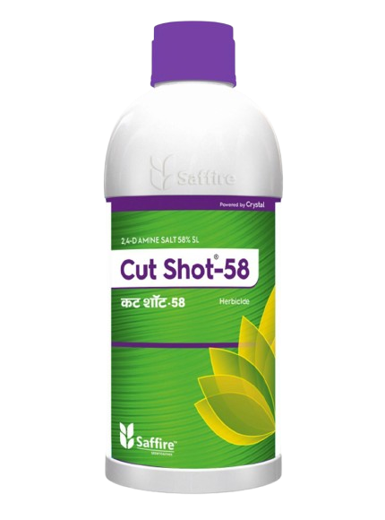 Cut-Shot-58