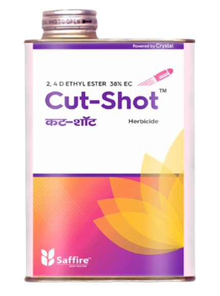 Cut-Shot