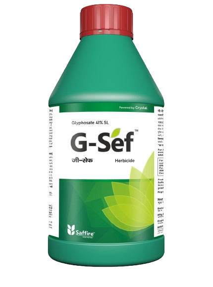 G-Sef