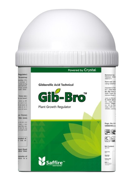 Gob-Bro