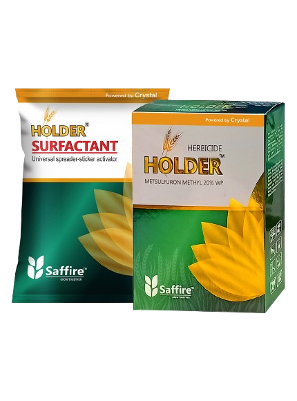 Holder