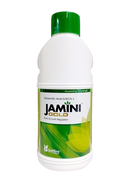 Jamini gold