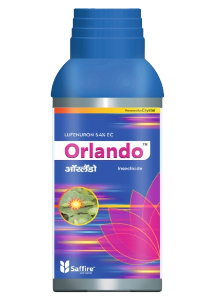 Orlando