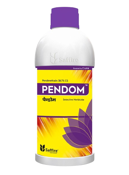Pendom