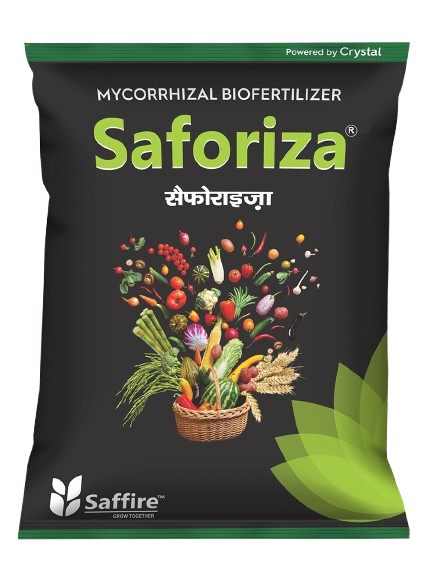 Saforiza