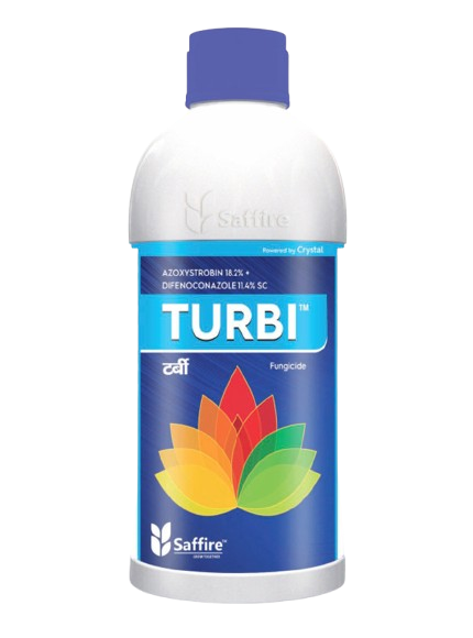 Turbi